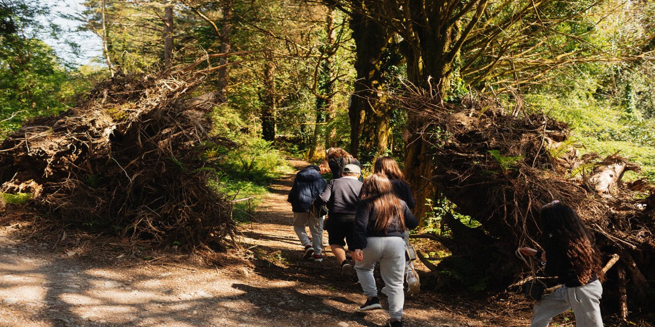 group wandering through the forest surrounding by muck, greentrees and wild flowers
